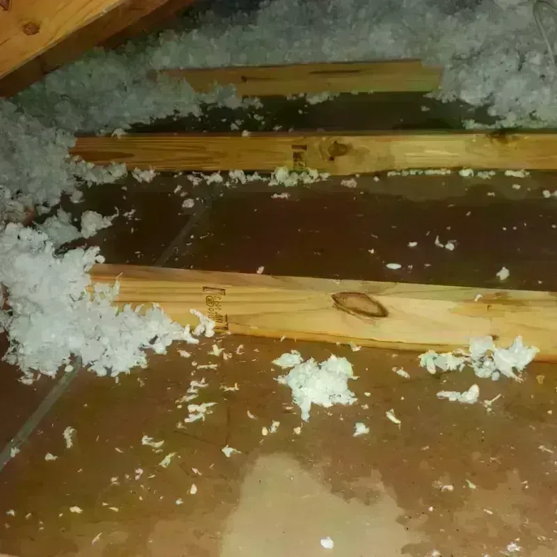 Attic Water Damage in Shreveport, LA