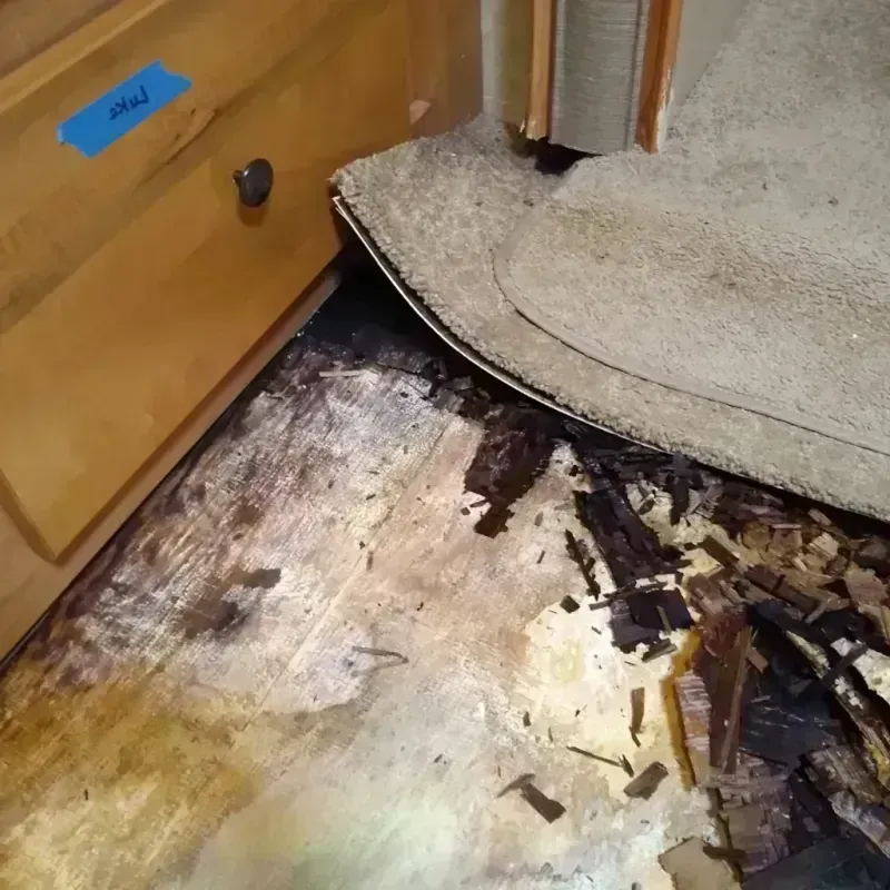 Best Wood Floor Water Damage Service in Shreveport, LA